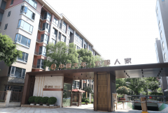 要专业照护的失强